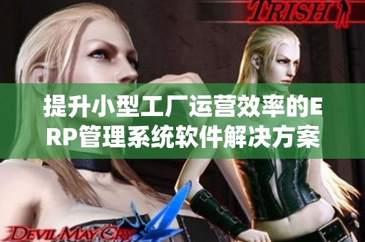 提升小型工厂运营效率的ERP管理系统软件解决方案介绍
