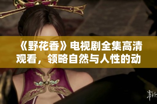 《野花香》电视剧全集高清观看，领略自然与人性的动人故事