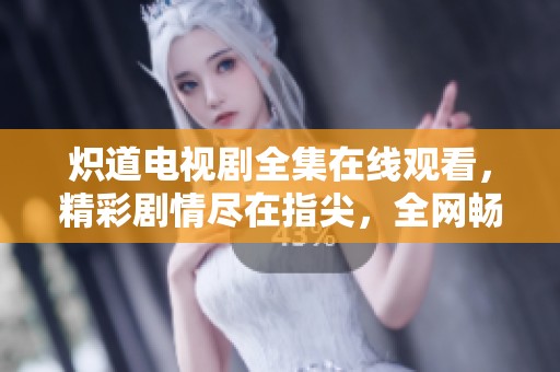 炽道电视剧全集在线观看，精彩剧情尽在指尖，全网畅享无阻