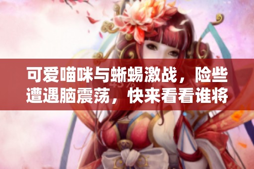 可爱喵咪与蜥蜴激战，险些遭遇脑震荡，快来看看谁将胜出！