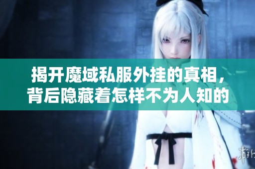 揭开魔域私服外挂的真相，背后隐藏着怎样不为人知的黑幕