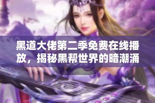 黑道大佬第二季免费在线播放，揭秘黑帮世界的暗潮涌动
