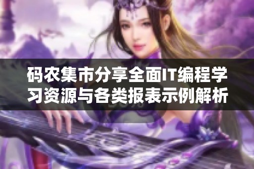 码农集市分享全面IT编程学习资源与各类报表示例解析