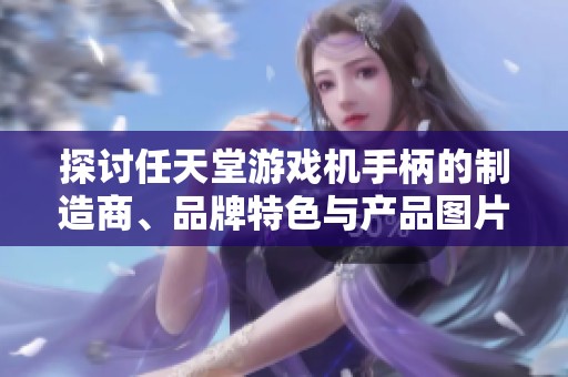 探讨任天堂游戏机手柄的制造商、品牌特色与产品图片展示