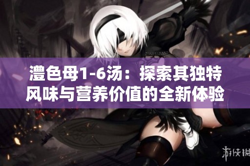 澧色母1-6汤：探索其独特风味与营养价值的全新体验