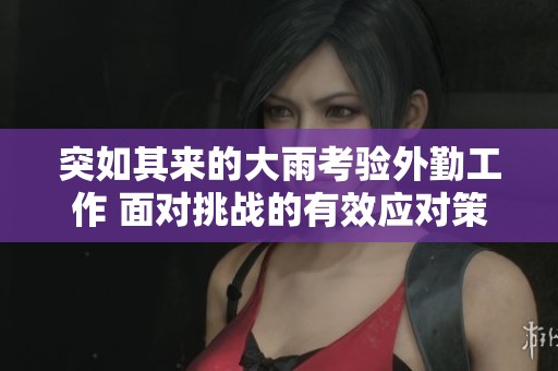 突如其来的大雨考验外勤工作 面对挑战的有效应对策略解析