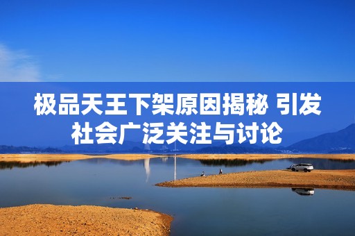 极品天王下架原因揭秘 引发社会广泛关注与讨论