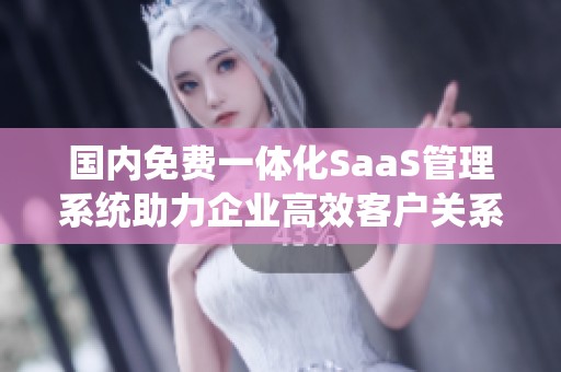 国内免费一体化SaaS管理系统助力企业高效客户关系管理