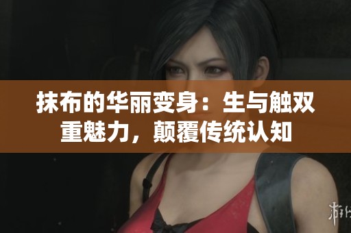抹布的华丽变身：生与触双重魅力，颠覆传统认知