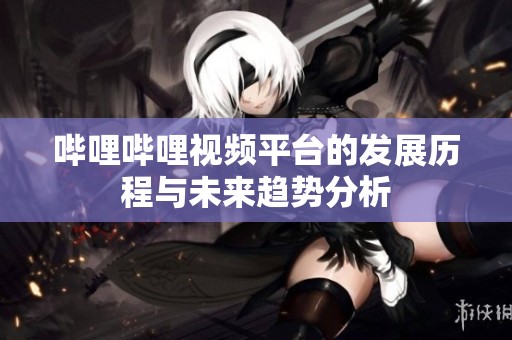 哔哩哔哩视频平台的发展历程与未来趋势分析