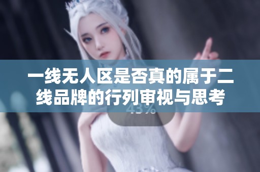 一线无人区是否真的属于二线品牌的行列审视与思考
