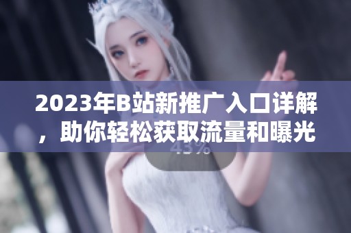 2023年B站新推广入口详解，助你轻松获取流量和曝光